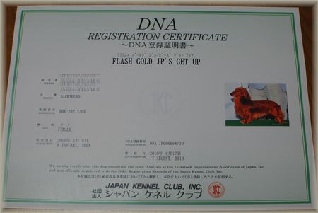 DNA登録