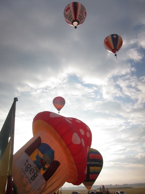 Balloon fiesta11149