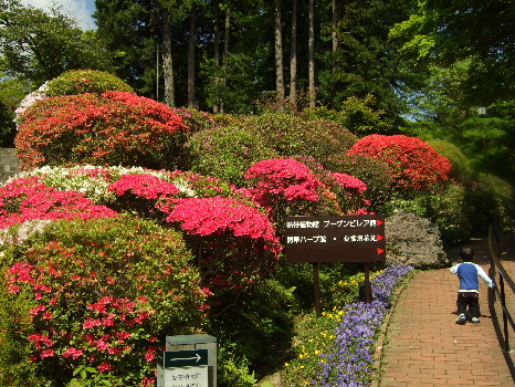 箱根公園