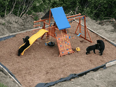 playground4_t.jpg