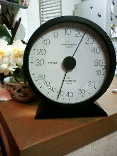 ２０１０冬温度計