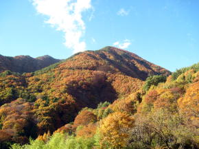 n10癒し瑞垣山05