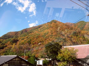 n10癒し瑞垣山10