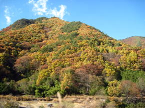 n10癒し瑞垣山06