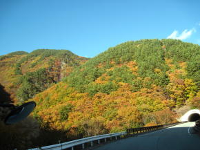 n10癒し瑞垣山07