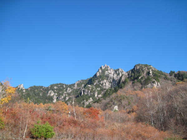 n10癒し瑞垣山17