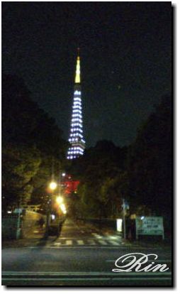 ショボイ東京タワー