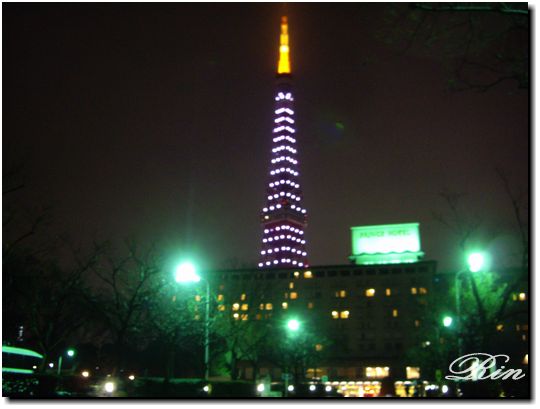 東京タワーとプリンスホテル