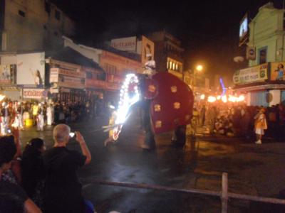 2011年8月タイ-スリランカ旅行スリランカ前半6日キャンディペラヘラ祭りゾウ