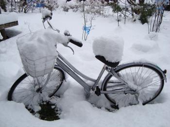 雪自転車