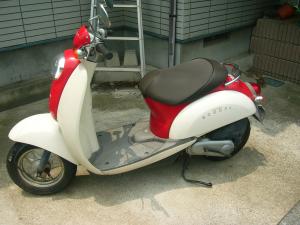 scoopy1