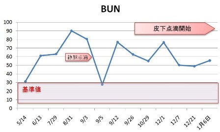 bun(1月6日)