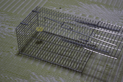 mouse trap 3