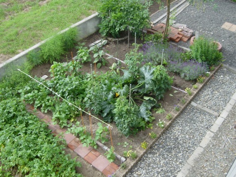 庭園１