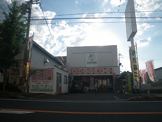 kashihara1.jpg