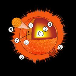 太陽構造