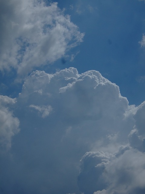 ８月の雲