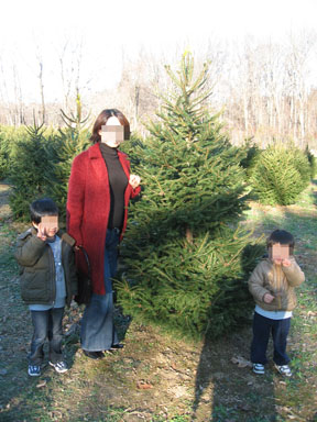 Christmas Tree Farm 5