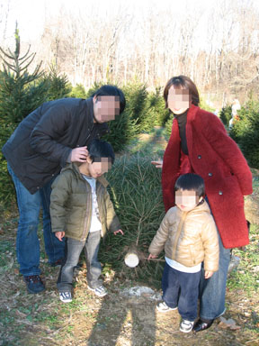 Christmas Tree Farm 7