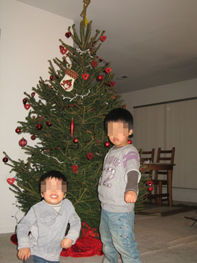 Christmas Tree Farm 11