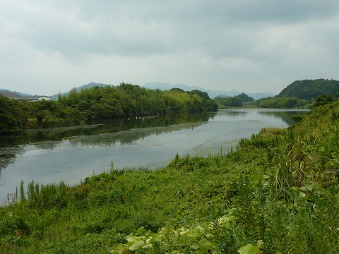 篠山川