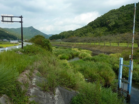 武庫川