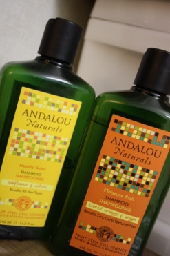 Andalou Naturals, Moisture Rich Shampoo