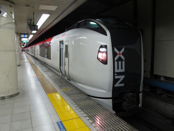 東京駅に停車中のE259系。