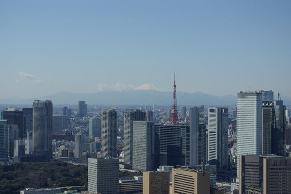 高層ビルに囲まれて建つ現在の東京タワー。2008年2月14日、聖路加ガーデン展望室（現在は閉鎖）より。