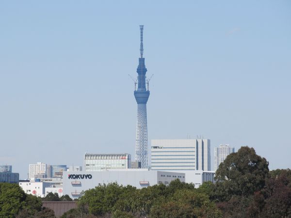 ゲイン塔の引き上げ真っ最中（高さ610m）。東日本大震災はこの写真を撮影した翌日に発生した。